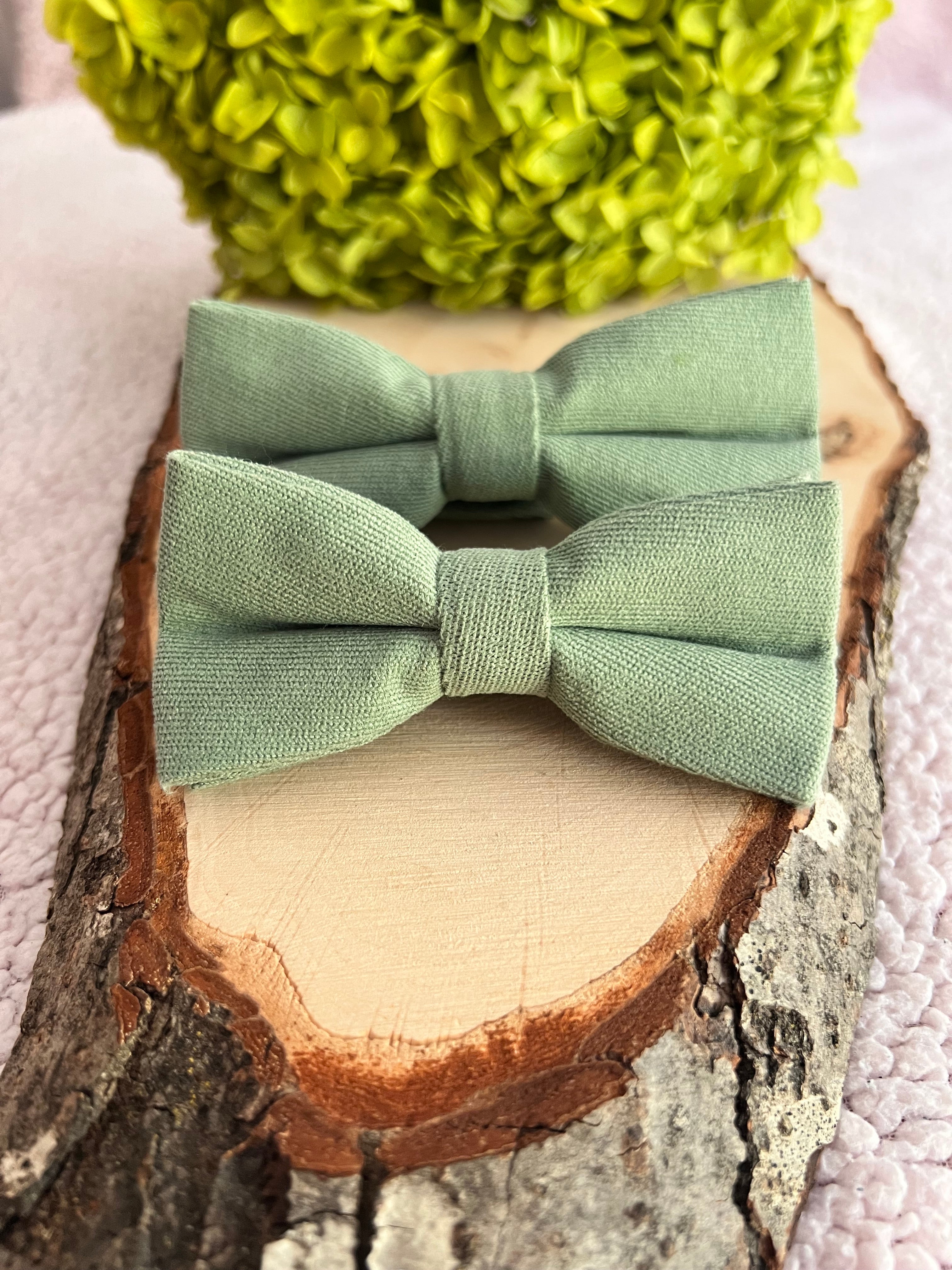 🌿 Lot nœuds papillon - Père & Fils – Vert sauge 🌿